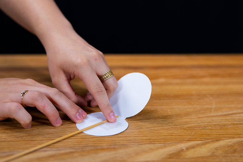 A person uses sticky tape to secure the wooden skewer to the back of one of the thaumatrope sides. The images on the thaumatrope are facing down.