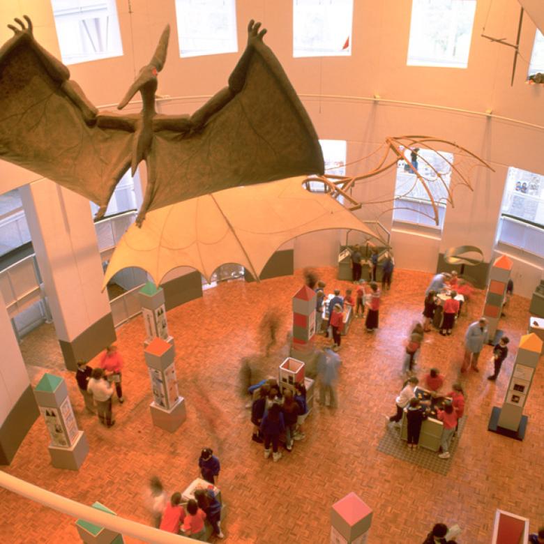 A model of a prehistoric flying reptile hangs at Questacon