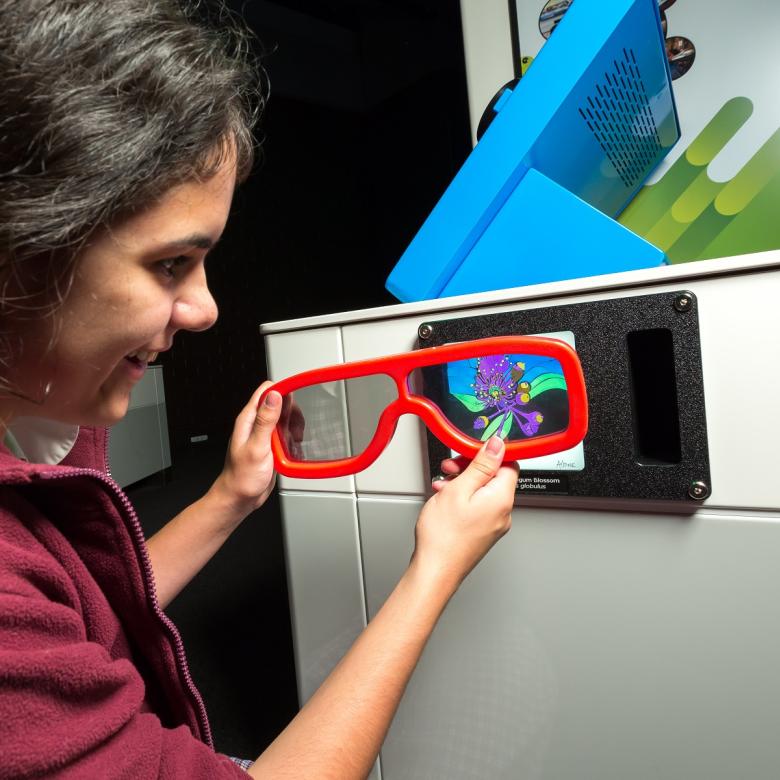 A girl looks through large red framed glasses held in front of a screen to see a purple image of wattle