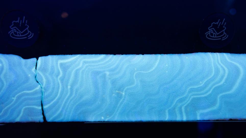 Piece of coral coring